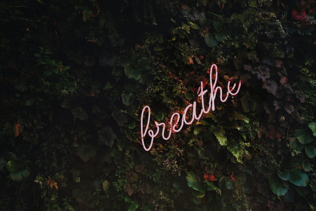 Wellness Journey - Breathe sign nestled in tropical leaves