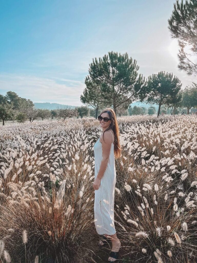 A pretty field in the centre of Ibiza
