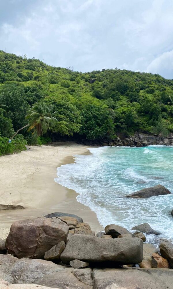Beautiful rock lined beach in Seychelles